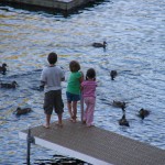 Feeding Ducks